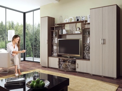 Гостиная Виста Стенка МИФ (Ясень шимо светлый, ясень шимо темный)