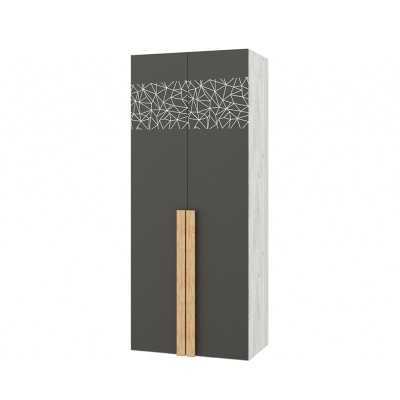 НКМ Кент-1 секция №21 шкаф 2х ств, фасад с рисунком РОСТОК (Дуб Крафт Белый / Антрацит (880*2100*456))