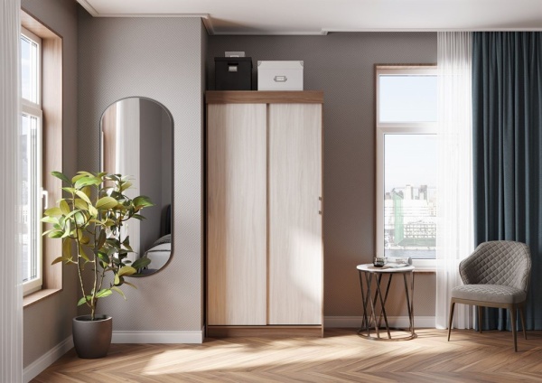 Евро Шкаф-купе СТЕНД (ШИМО СВЕТЛЫЙ/ШИМО ТЕМНЫЙ (1,0х2,1х0,416))