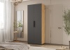 Спальный гарнитур Флэш Шкаф 2-х ств.(900) МИФ (Браш Графит, Дуб Крафт золото)