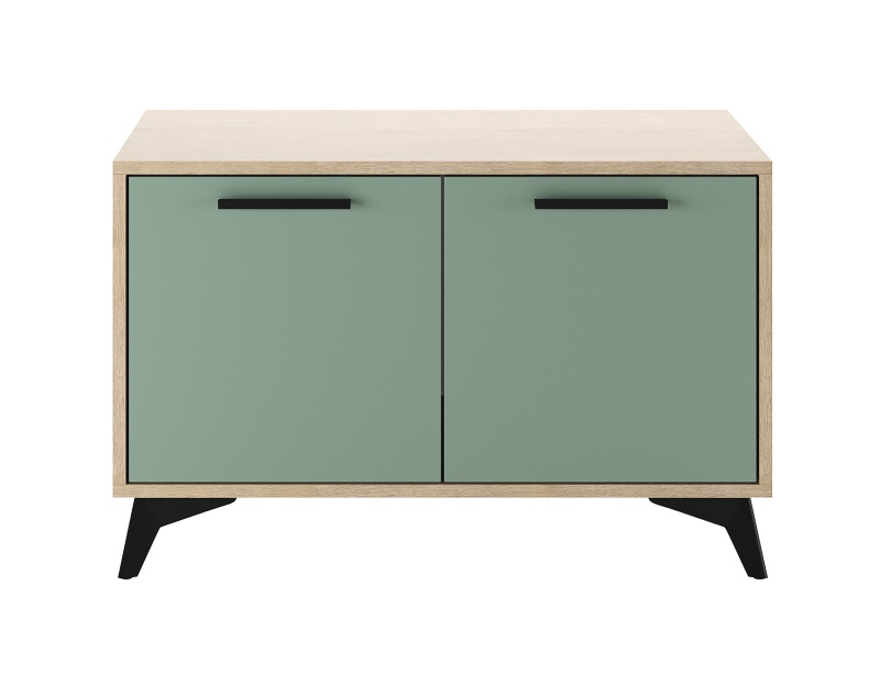 Прихожая Ева (Фасад) Тумба 800 2С ПАМИР (Муссон)