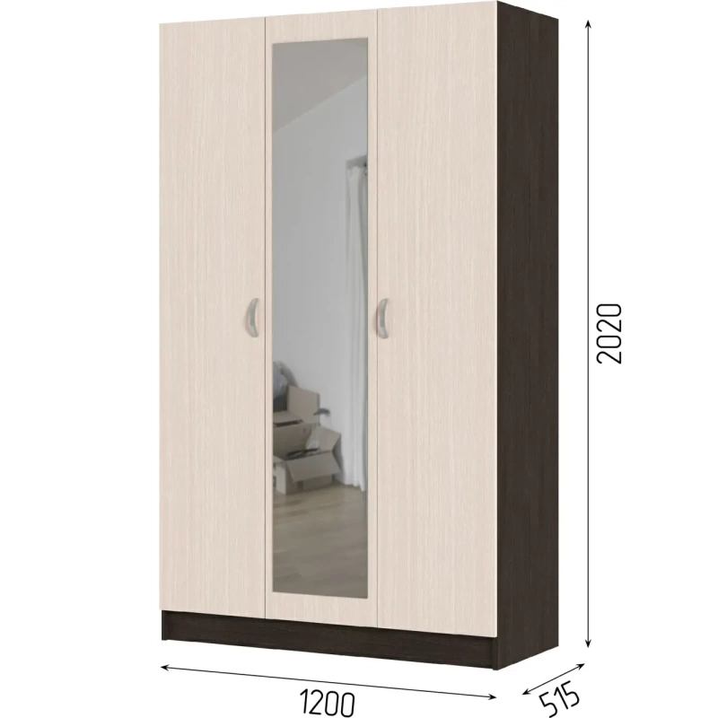 Басса (Бася)/Брио ШК 553 Шкаф 3-х ств. с зеркалом СТЕНД/ТВД (фасад БЕЛФОРТ/корпус ВЕНГЕ (1,2х2,02х0,506))