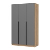 Лион ШК-02 Шкаф 3-х створчатый СТЕНД (фасад ГРАФИТ СЕРЫЙ/корпус ДУБ КРАФТ ЗОЛОТО (1200*2000*550))